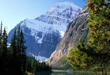 中国女足亚洲杯夺冠是哪一年？